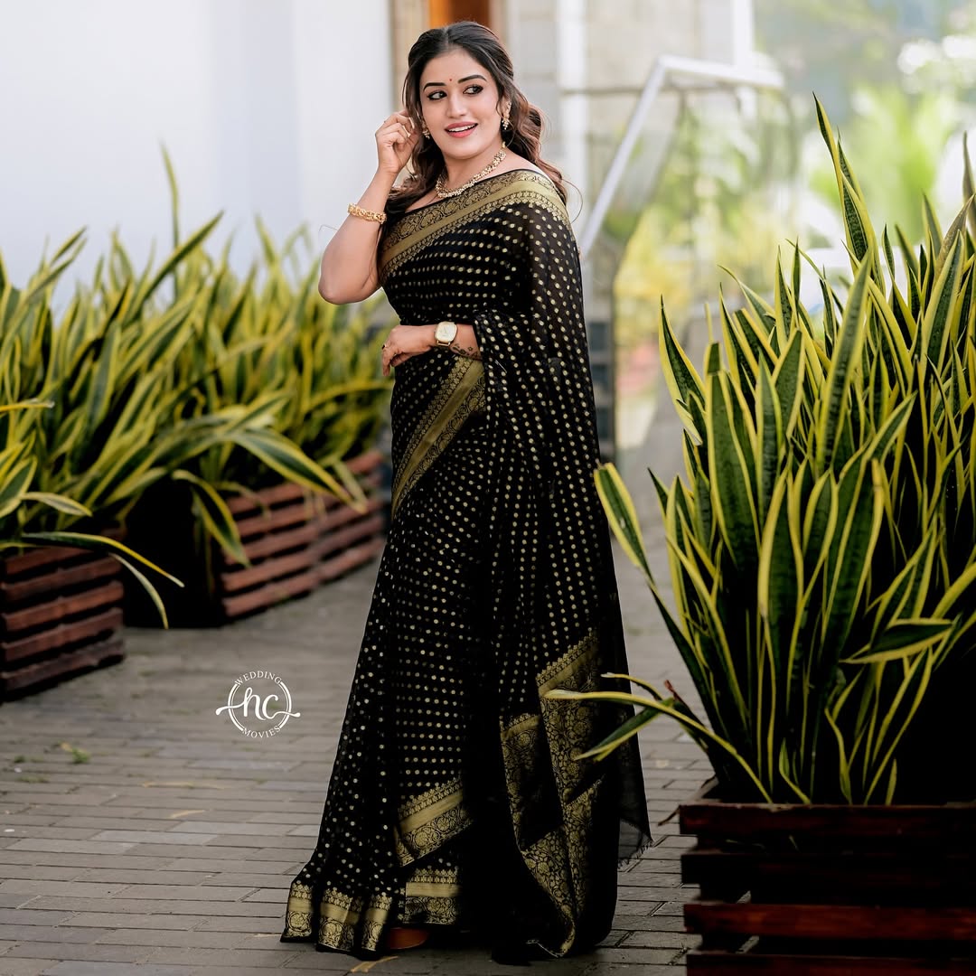 high quality georgette banarasi